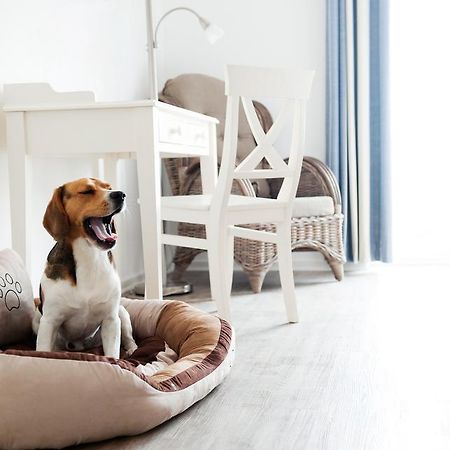 Hotel, Restaurant, Cafe Pharisaeerhof - Nordseeurlaub Mit Hund Нордштранд Экстерьер фото