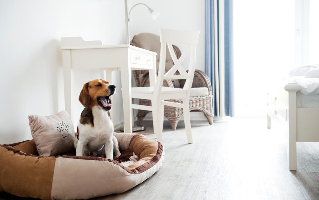 Hotel, Restaurant, Cafe Pharisaeerhof - Nordseeurlaub Mit Hund Нордштранд Экстерьер фото