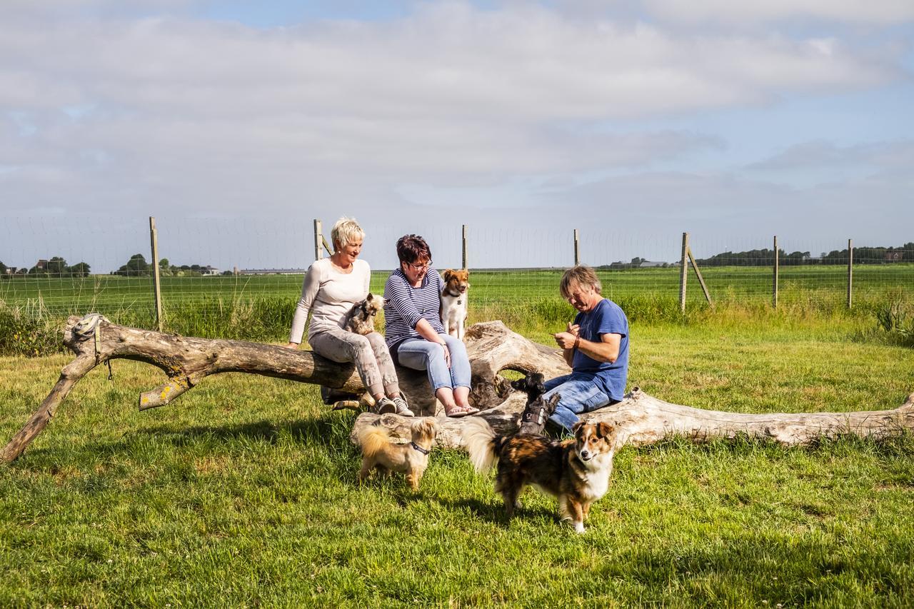Hotel, Restaurant, Cafe Pharisaeerhof - Nordseeurlaub Mit Hund Нордштранд Экстерьер фото