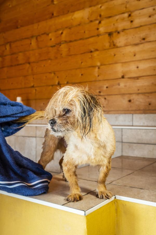 Hotel, Restaurant, Cafe Pharisaeerhof - Nordseeurlaub Mit Hund Нордштранд Экстерьер фото